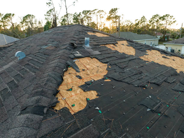 Best Roof Ventilation Installation  in Fredericktown, OH
